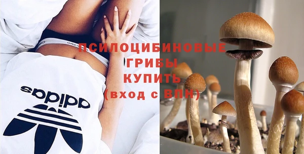 марки nbome Алексеевка