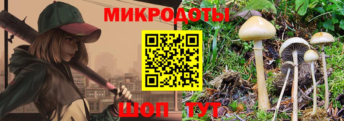 Лсд 25 Ефремов