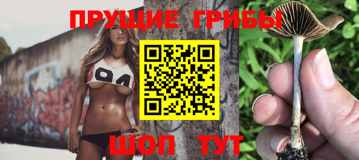 Псилоцибиновые грибы Psilocybe  Галлюциногенные грибы мухоморы  Вход с VPN  Ефремов 